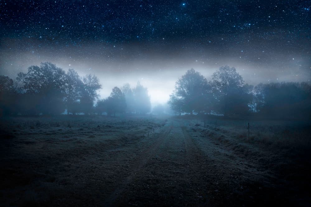 Misty Starry Night by Christian Lindsten — canvas wall art