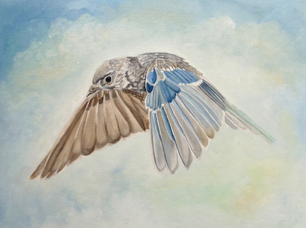 Soaring Blue Bird by Angeles M. Pomata — canvas wall art