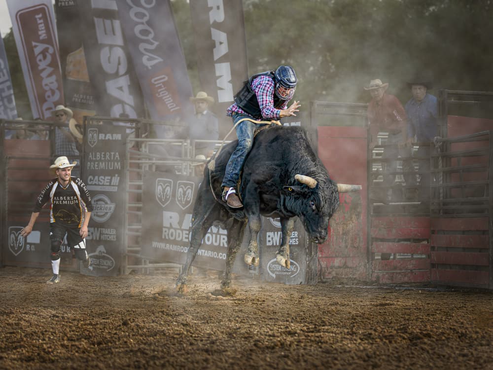 Rodeo Bull Action by Molly Fu APA — canvas wall art