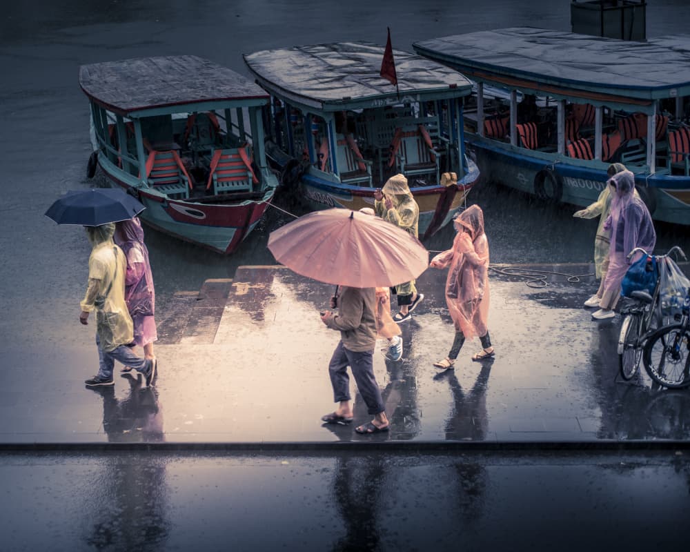 Rainy River Walk by Luis Borges Alves — canvas wall art