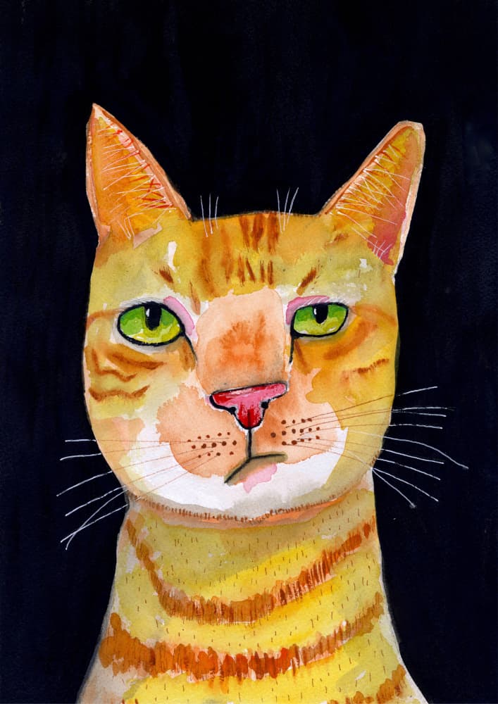 Expressive Orange Tabby by Sharyn Bursic — canvas wall art