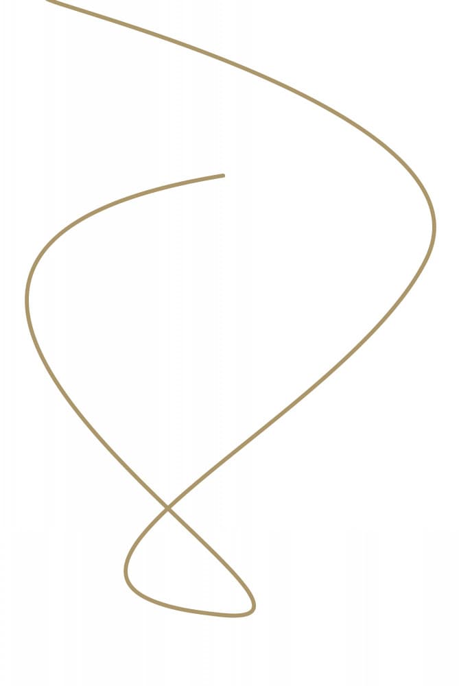 Flowing Golden Curve by Oju Design — canvas wall art