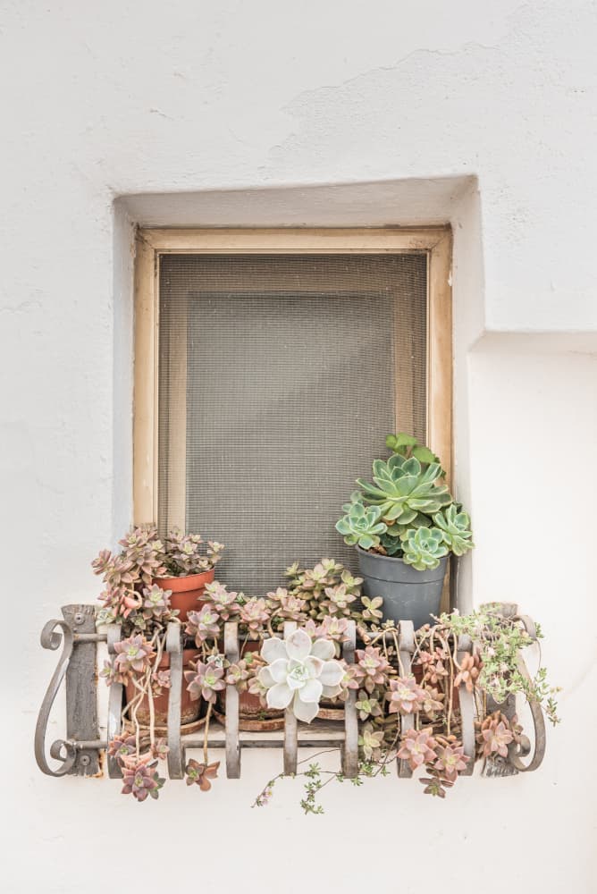 Rustic Succulent Window Box by Photolovers — canvas wall art