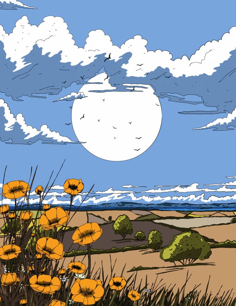 Sun Over Poppy Field by Nicholas — canvas wall art