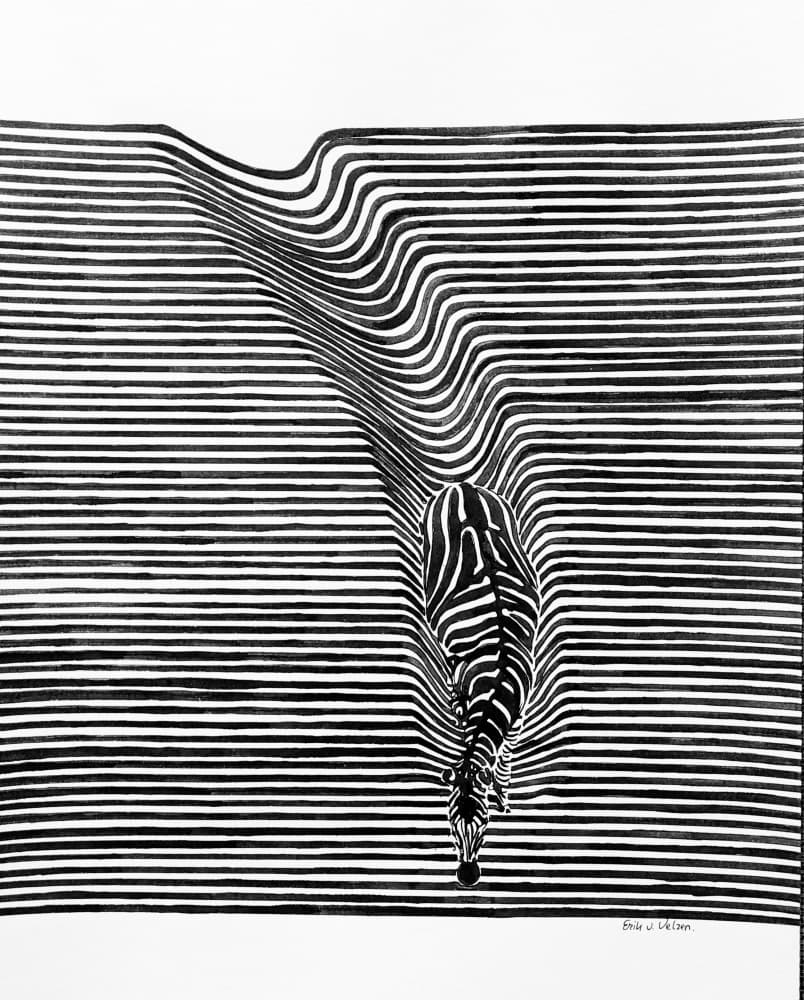 Zebra Optical Illusion by Erik Van Velzen — canvas wall art