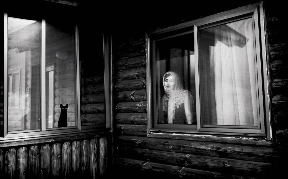Pensive Woman Cat Gaze by Yuri Shepelev — canvas wall art
