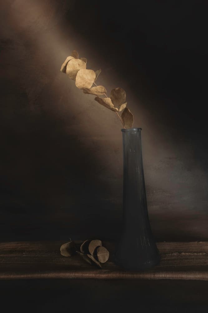 Moody Dried Leaves by Cicek Kiral — canvas wall art