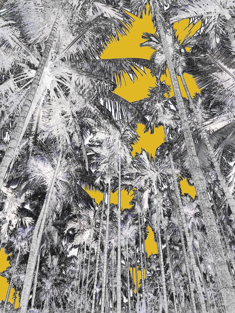 Yellow Sky Palms by Santhosh ch — canvas wall art