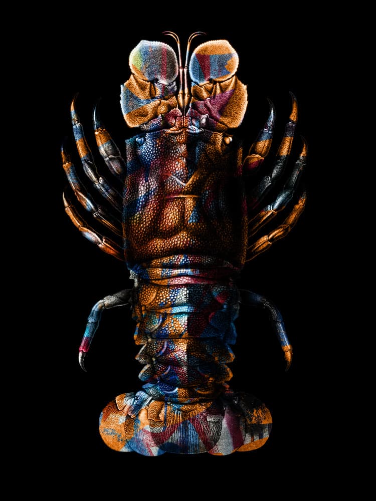 Vibrant Spiny Lobster by Marja van den Hurk — canvas wall art