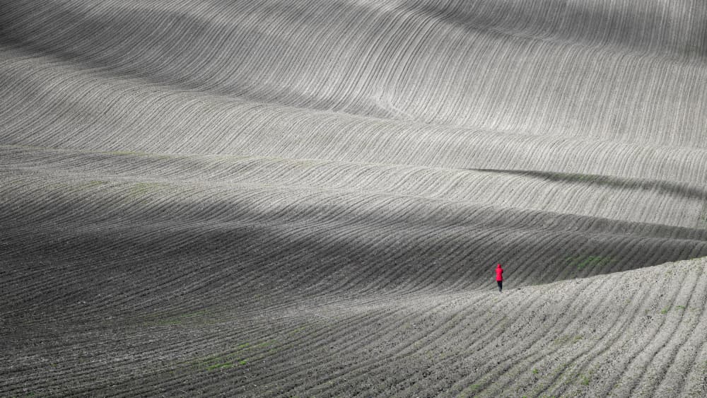 Red Coat Winding Fields by Haim Rosenfeld — canvas wall art