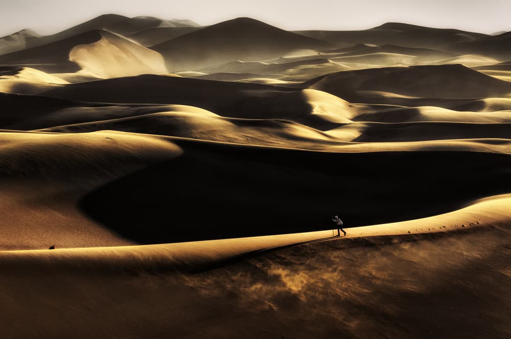 Vast Desert Solitude by Babak Mehrafshar — canvas wall art
