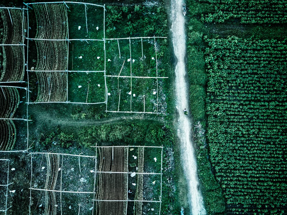 Aerial Farm Life by Zhou Chengzhou — canvas wall art