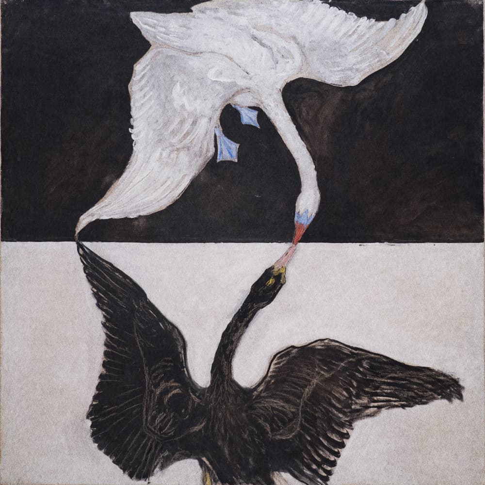 Hilma Af Klint   the Swan by Hilma Af Klint — canvas wall art