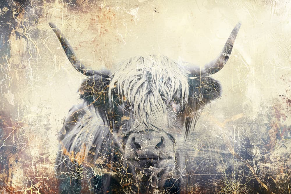 Textured Highland Cow by Rafal Kulik — canvas wall art