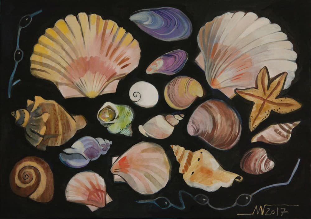 Colorful Ocean Shells by Marina Gorkaeva — canvas wall art