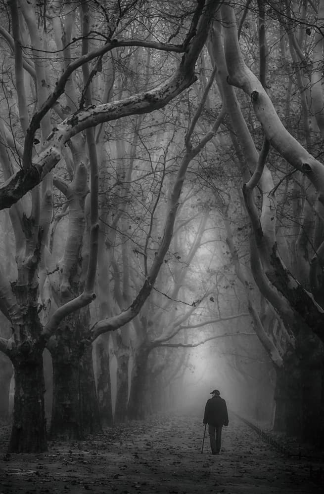 Man In The Mist by Anna Niemiec — canvas wall art