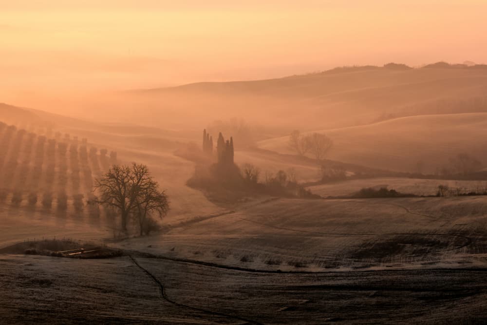 Misty Tuscan Morning by Fabrizio Massetti — canvas wall art