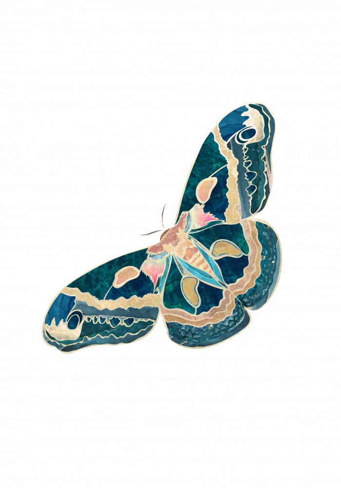 Jeweled Teal Butterfly by Sarah Manovski — canvas wall art