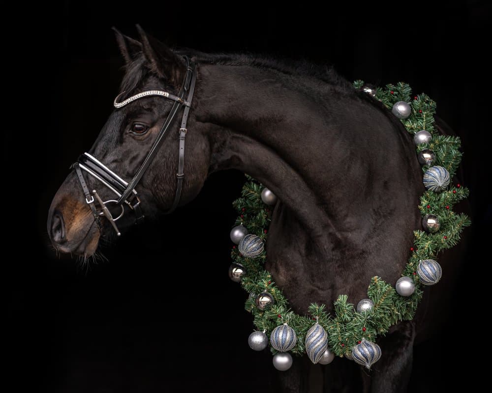 Black Horse Holiday Wreath by Ulrike Leinemann — canvas wall art