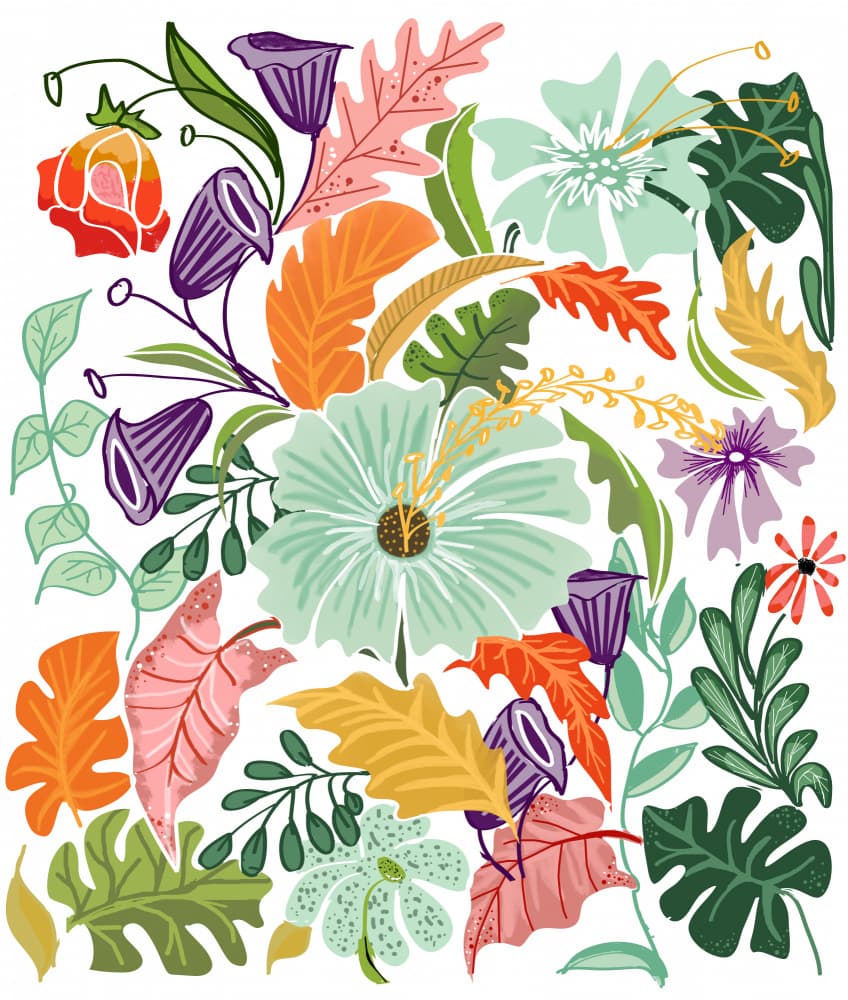 Vibrant Tropical Bloom by Uma Gokhale — canvas wall art