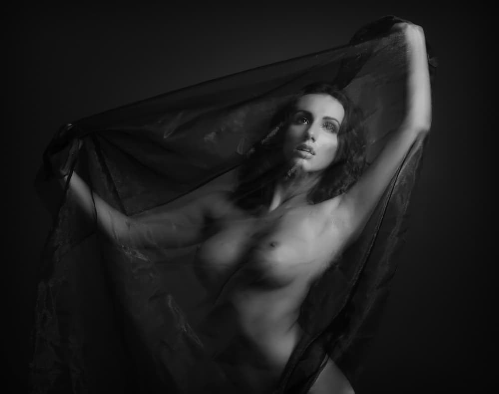 Sheer Beauty by Catchlight Studio — canvas wall art