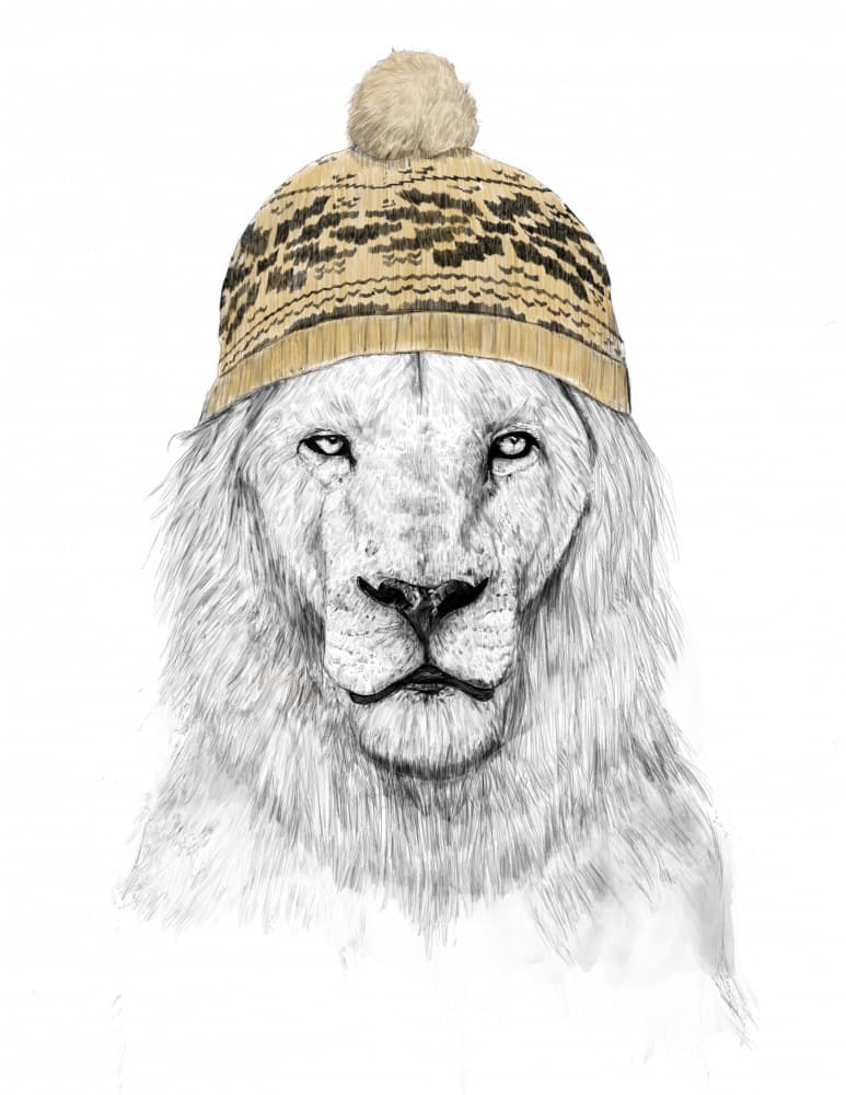 White Lion Beanie by Balazs Solti — canvas wall art