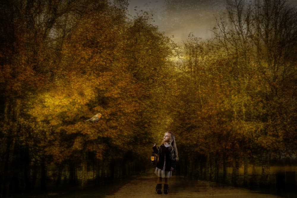Girl With Owl Lantern by Gabrielle Halperin — canvas wall art