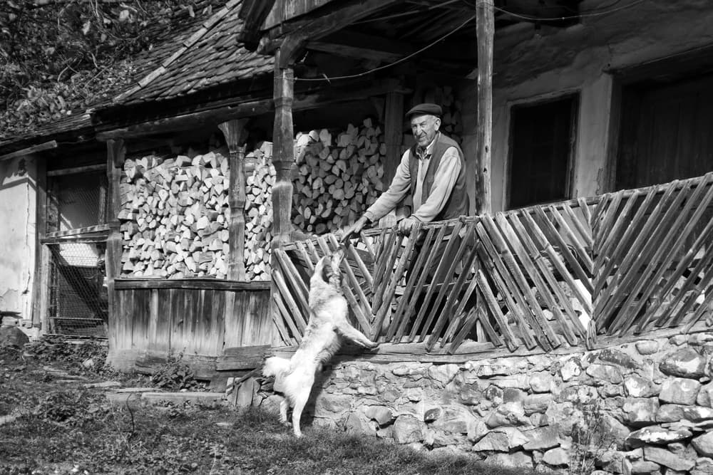 Rural Man And Dog by Zoran Toldi (EFIAP AZSF) — canvas wall art