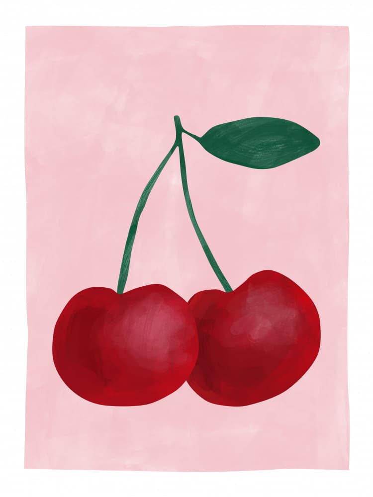 Sweet Cherries Pink by Elena Ristova — canvas wall art