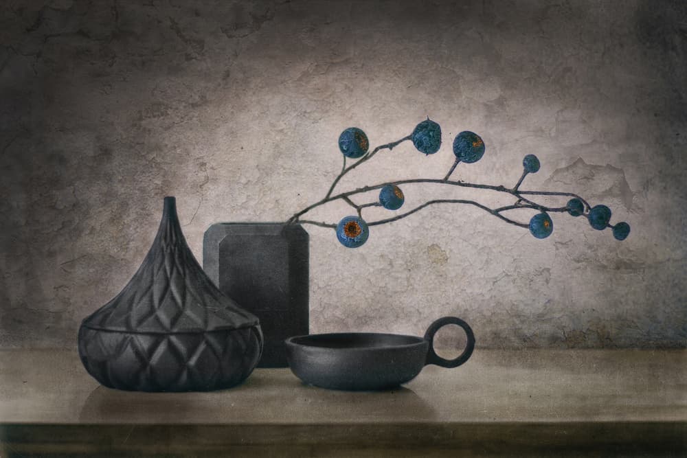 Rustic Blue Berries by Elena Arjona — canvas wall art