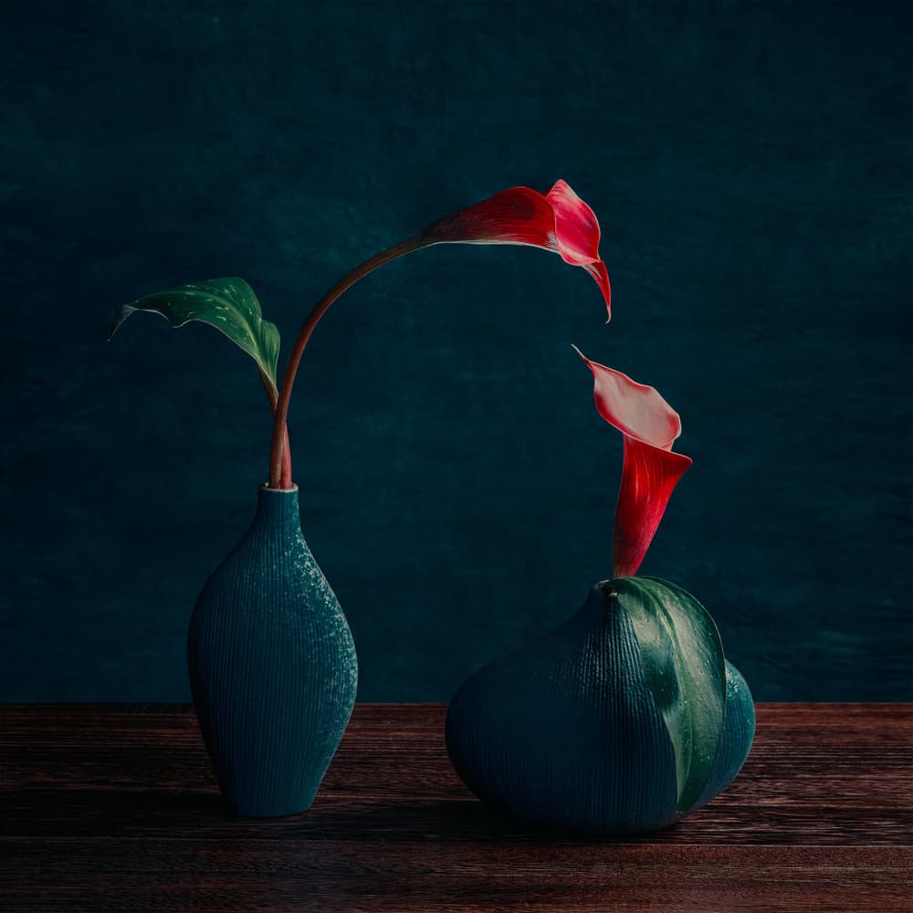 Intimate Red Lilies by Mia Meng — canvas wall art