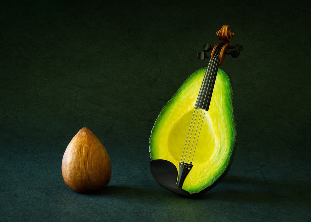 Avocado Violin by Jacqueline Hammer — canvas wall art