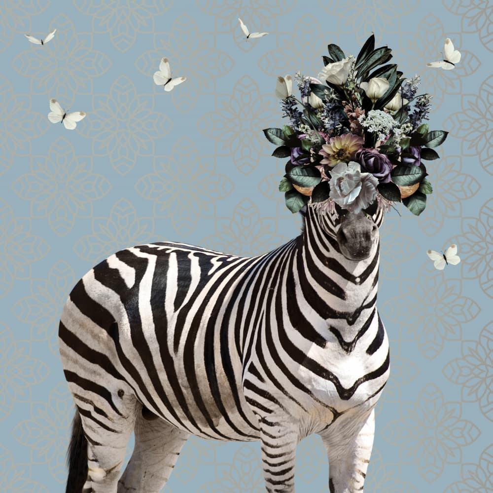 Zebra With Flower Crown by Sue Skellern — canvas wall art