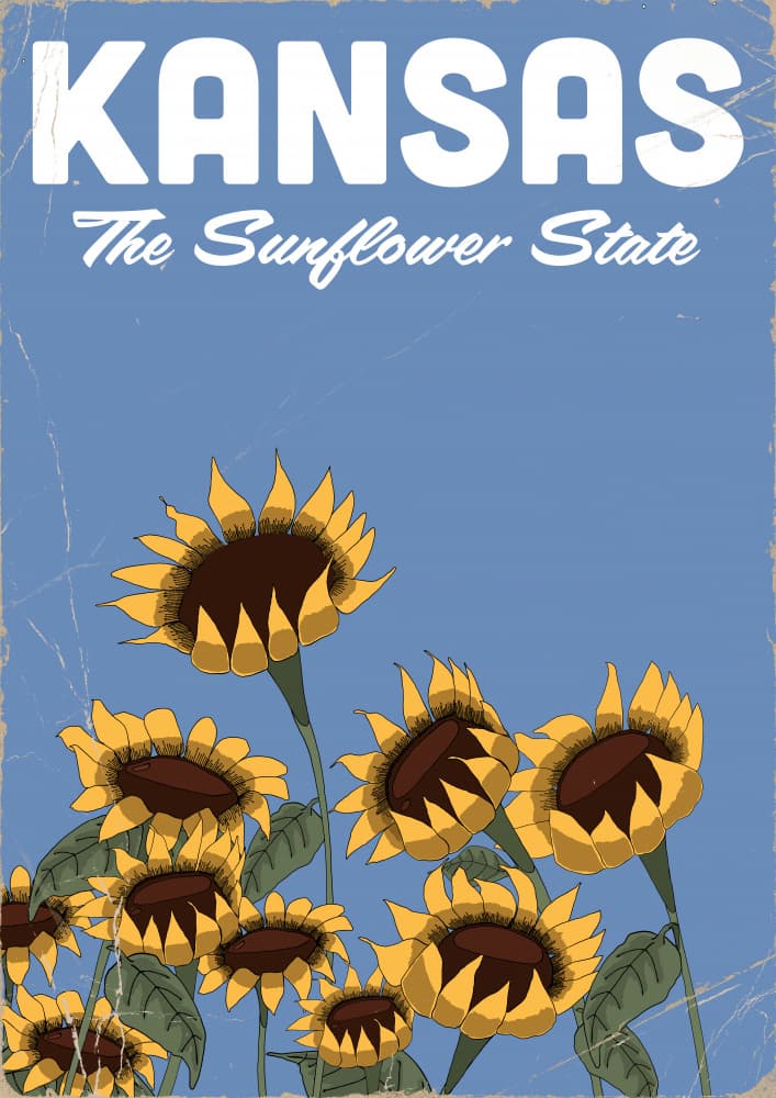 Kansas Sunflower State by Nicholas — canvas wall art