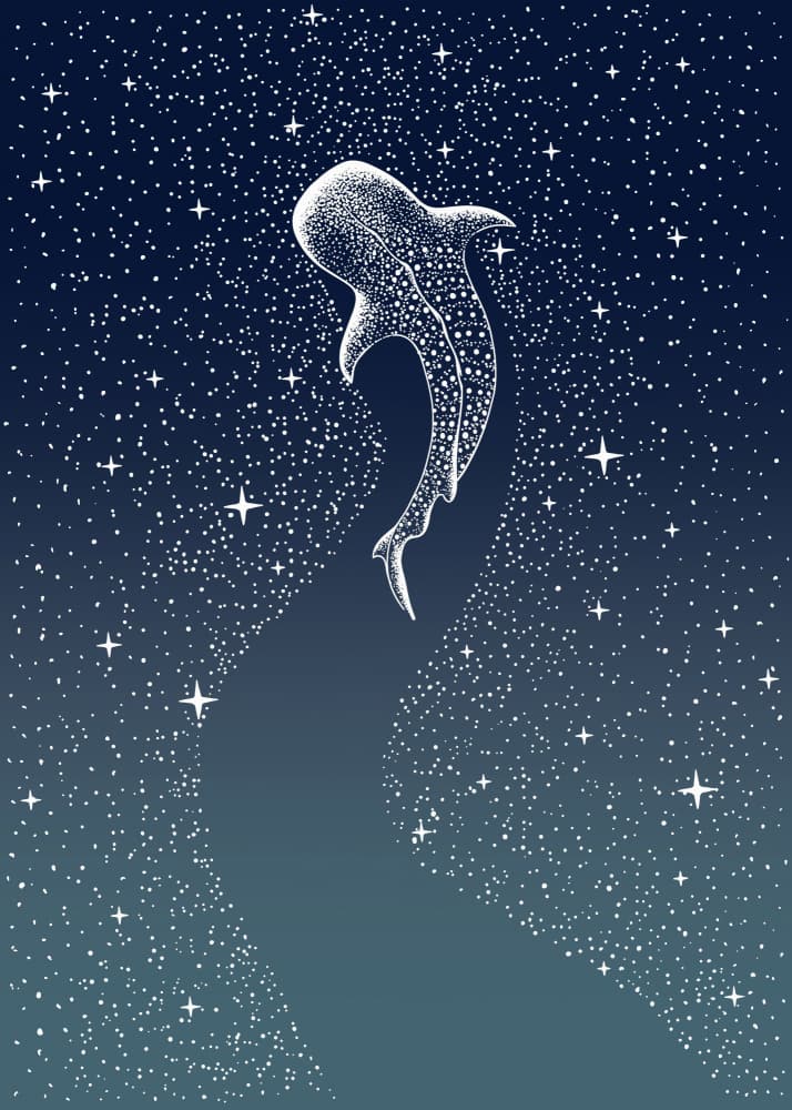 Cosmic Whale Shark by Alirıza ÇAKIR — canvas wall art