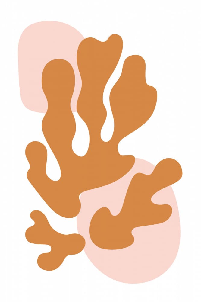 Warm Organic Shapes by jay stanley — canvas wall art