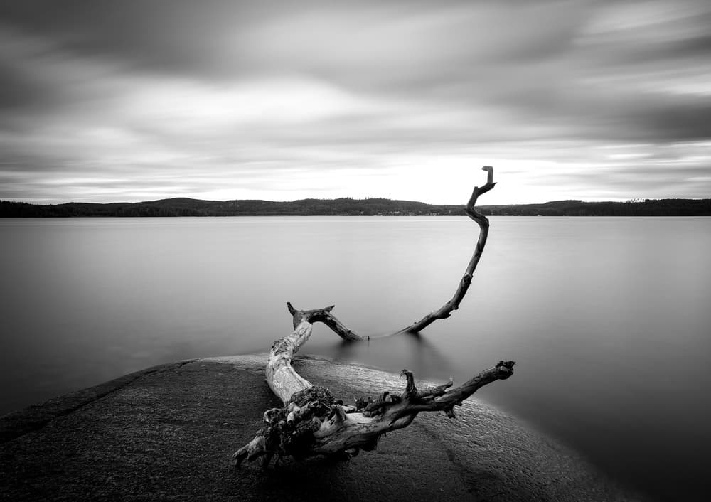 Tranquil Driftwood Lake by Christian Lindsten — canvas wall art
