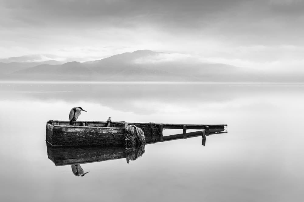 Heron on Quiet Waters by George Digalakis — canvas wall art