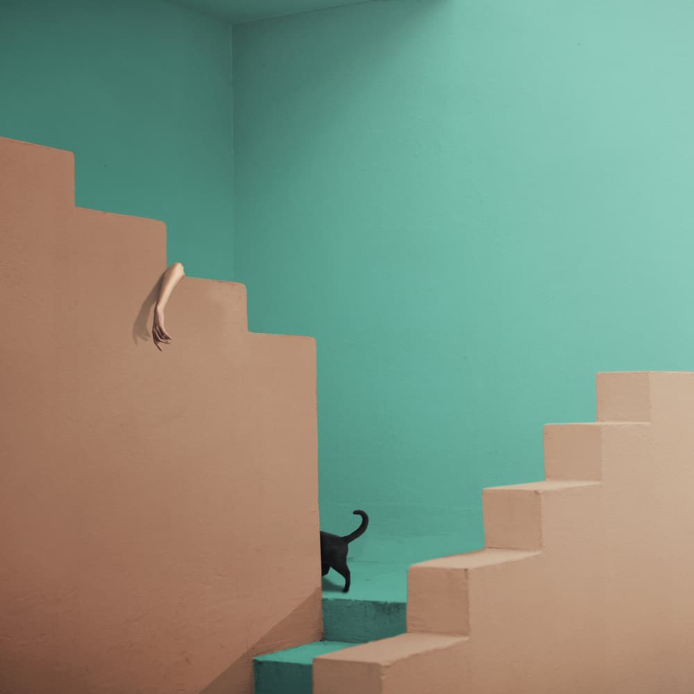 Surreal Stairs and Cat by hardibudi — canvas wall art