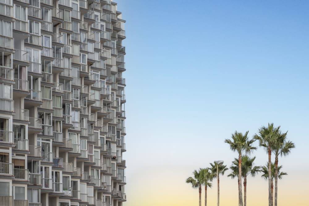 Modern Building Palm Trees by Linda Wride — canvas wall art