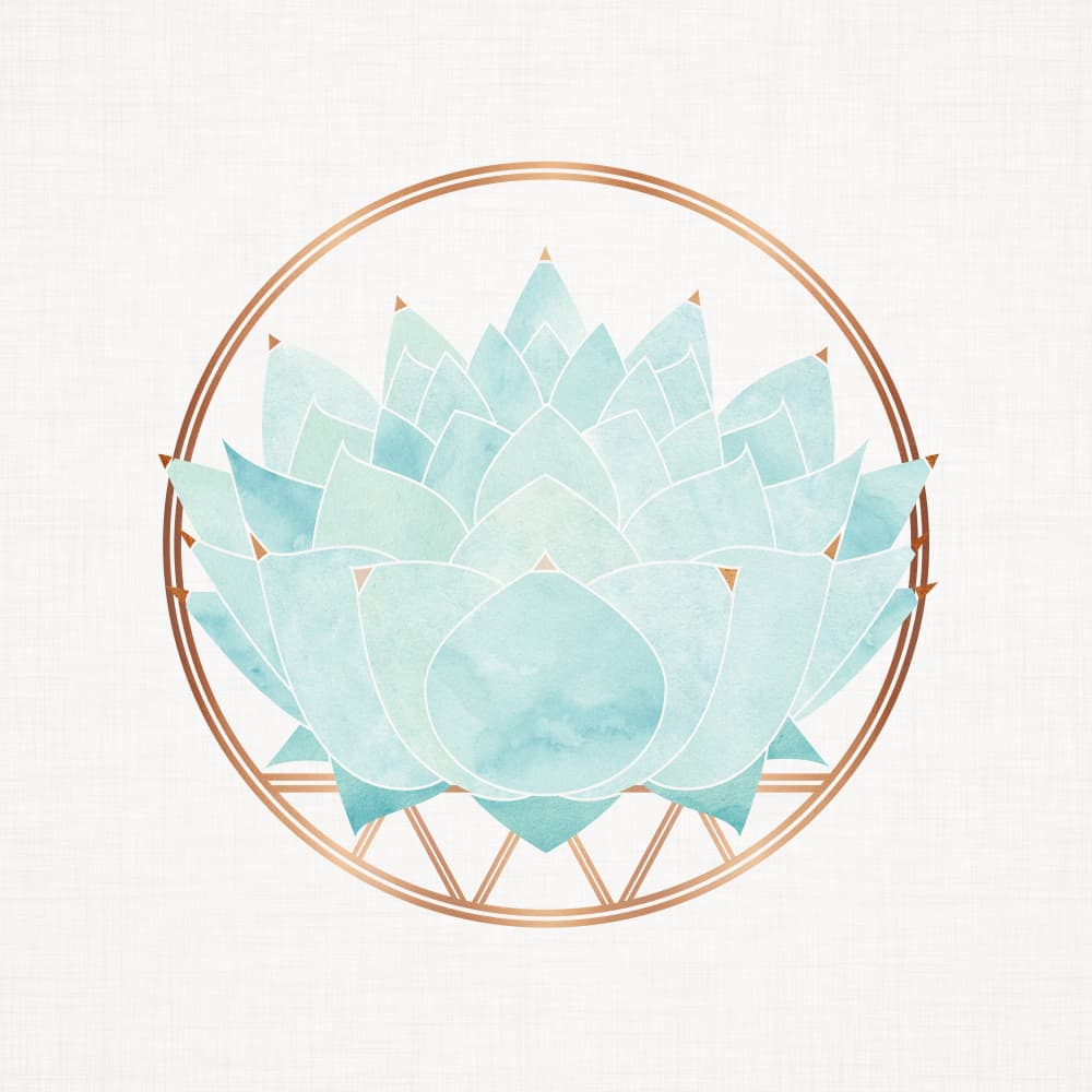 Zen Aqua Succulent by Kristian Gallagher — canvas wall art
