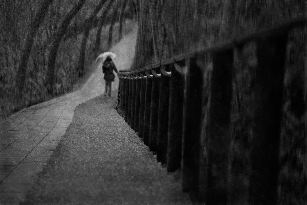 Rainy Day Walk by Ekkachai Khemkum — canvas wall art