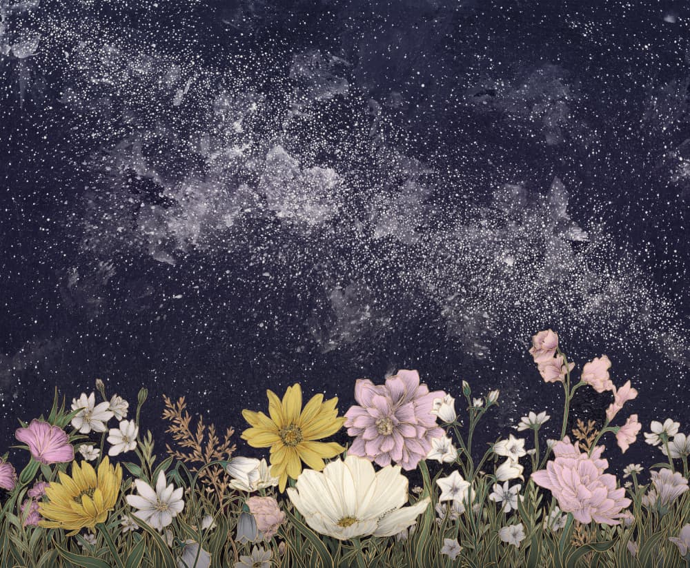 Starry Night Wildflowers by EC Mazur — canvas wall art
