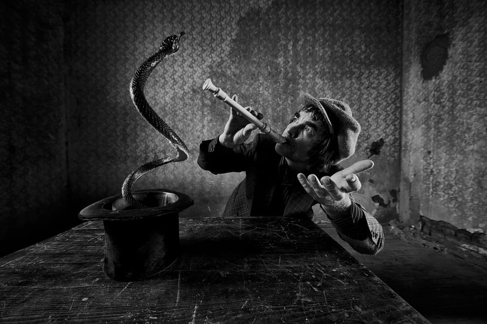 Enigmatic Snake Charm by mario grobenski - psychodaddy — canvas wall art