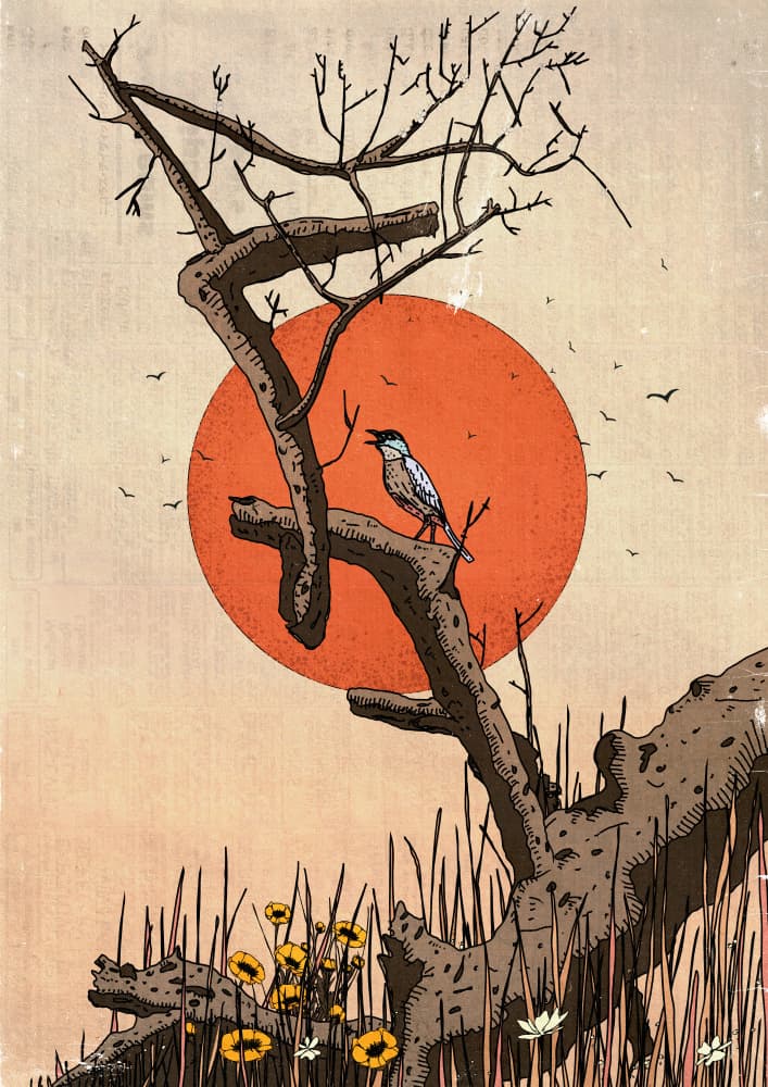 Singing Bird Sunset by Nicholas — canvas wall art