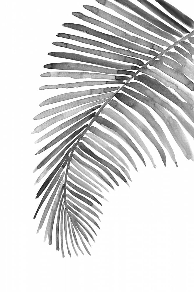 Tropical Leaf Watercolor by Rosana Laiz Blursbyai — canvas wall art