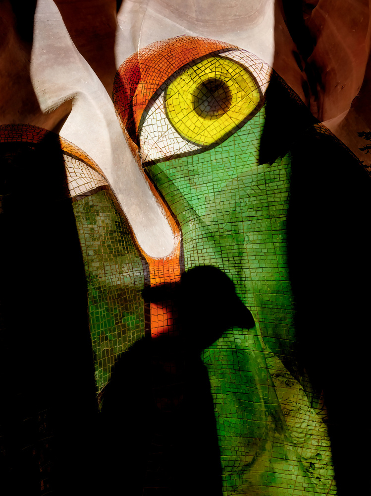 Mosaic Eye and Shadow by Shenshen Dou — canvas wall art