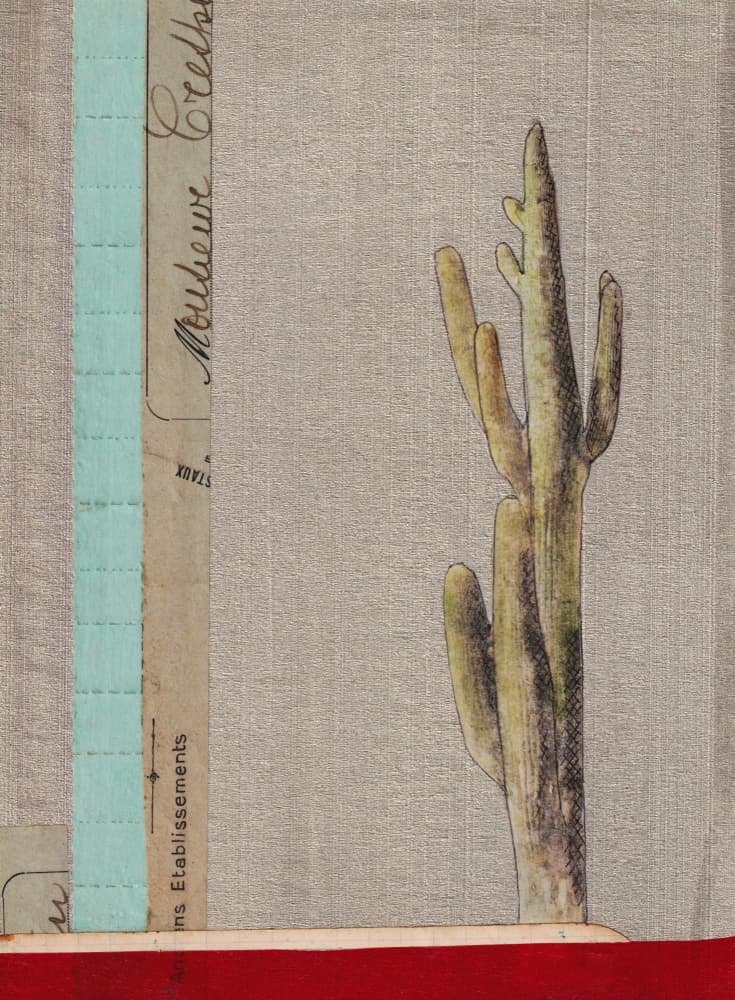 Desert Cactus Collage by Lene Bladbjerg — canvas wall art