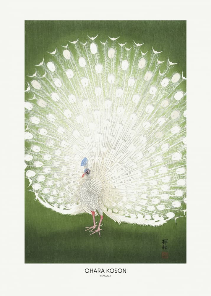 Peacock - Cropped by Ohara Koson — canvas wall art