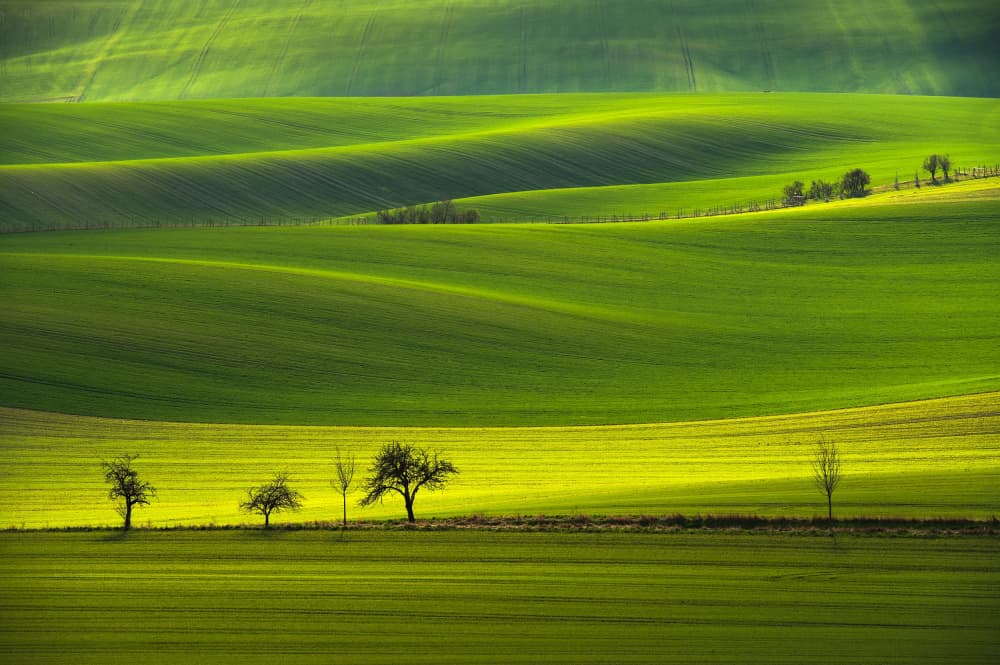 Rolling Green Fields by Milan Uhrin AFIAP AZSF — canvas wall art